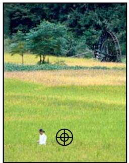 ADOBE PHOTOSHOP ELEMENTS 10 - Correction des imperfections importantes - 1