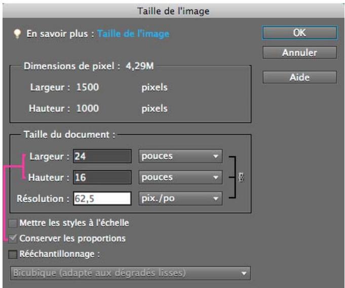 ADOBE PHOTOSHOP ELEMENTS 10 - Redimensionnement - 2