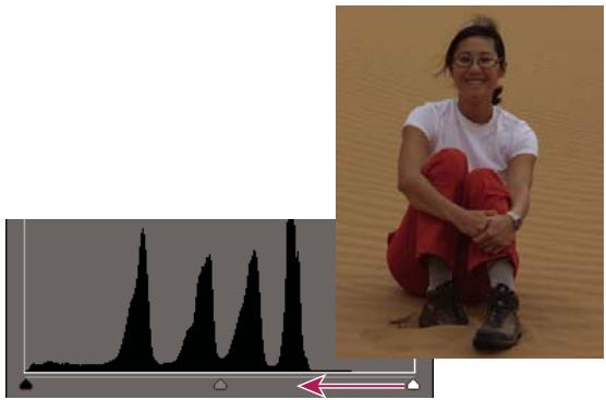 ADOBE PHOTOSHOP ELEMENTS 10 - Réglage des tons foncés et de la luminosité à l'aide des niveaux - 1