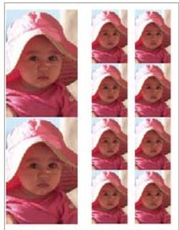 ADOBE PHOTOSHOP ELEMENTS 10 - Impression d'une collection d'images - 1