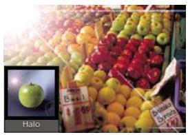 ADOBE PHOTOSHOP ELEMENTS 10 - Filtres - 1