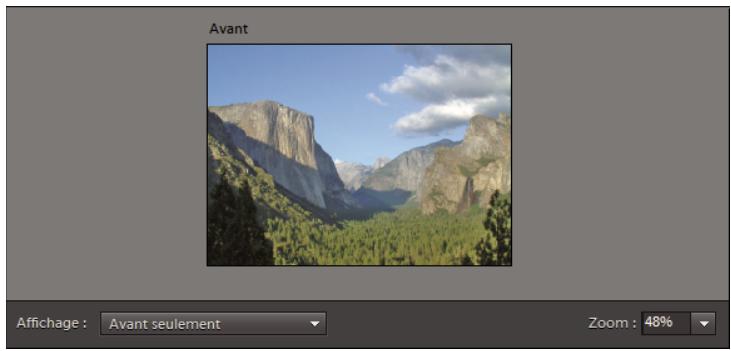 ADOBE PHOTOSHOP ELEMENTS 10 - Concordance de style photomerge - 3