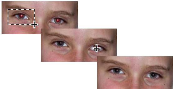 ADOBE PHOTOSHOP ELEMENTS 10 - Suppression précise de l'effet yeux rouges - 1