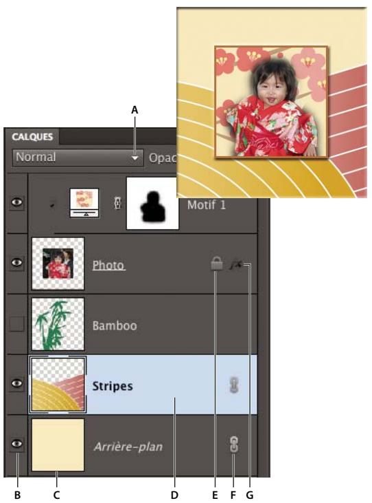 ADOBE PHOTOSHOP ELEMENTS 10 - Voir aussi - 1