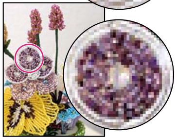 ADOBE PHOTOSHOP ELEMENTS 10 - Rééchantillonnage d'une image - 2