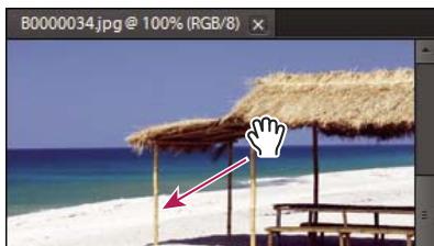 ADOBE PHOTOSHOP ELEMENTS 10 - Affichage des images en mode retouche standard ou retouche rapide - 2