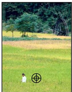ADOBE PHOTOSHOP ELEMENTS 7.0 - Correction des imperfections importantes - 1