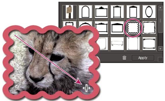 ADOBE PHOTOSHOP ELEMENTS 7.0 - Description d'une forme personnalisée - 1