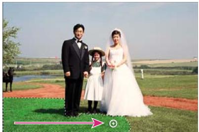 ADOBE PHOTOSHOP ELEMENTS 7.0 - Réglage de la couleur et de la tonalité à l'aide des formes dynamiques - 1