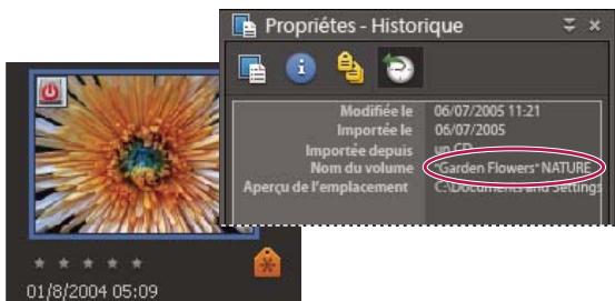 ADOBE PHOTOSHOP ELEMENTS 7.0 - Importation de photos à partir d'un CD ou d'un DVD - 1
