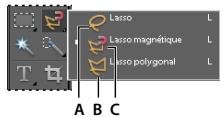 ADOBE PHOTOSHOP ELEMENTS 7.0 - Utilisation de l'outil lasso magnétique - 1