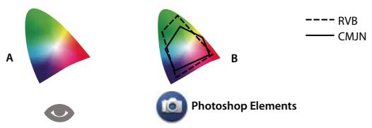 ADOBE PHOTOSHOP ELEMENTS 7.0 - Configuration de la gestion des couleurs - 1