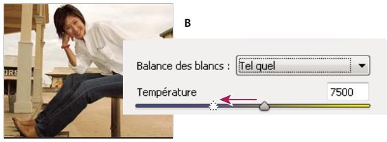 ADOBE PHOTOSHOP ELEMENTS 7.0 - Commandes de la balance des blancs pour les fichiers camera raw - 2