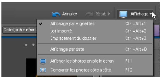 ADOBE PHOTOSHOP ELEMENTS 7.0 - Sélection d'un mode d'affichage du navigateur de photos - 1