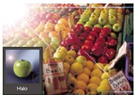 ADOBE PHOTOSHOP ELEMENTS 7.0 - Filtres - 1