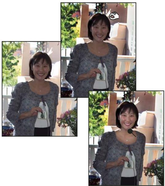 ADOBE PHOTOSHOP ELEMENTS 7.0 - Éclaircissement ou obscuration rapide de zones isolées - 1