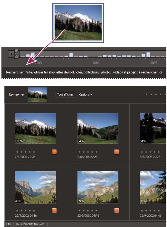 ADOBE PHOTOSHOP ELEMENTS 7.0 - Recherche de photos par similarité visuelle - 1