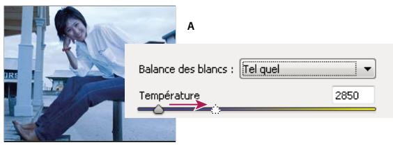 ADOBE PHOTOSHOP ELEMENTS 7.0 - Commandes de la balance des blancs pour les fichiers camera raw - 1