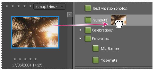 ADOBE PHOTOSHOP ELEMENTS 7.0 - Ajout d'une photo à un album - 1