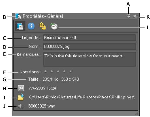 ADOBE PHOTOSHOP ELEMENTS 7.0 - Affichage ou modification des informations sur les fichiers dans l'organiseur - 1