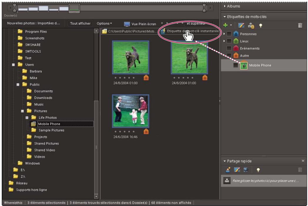 ADOBE PHOTOSHOP ELEMENTS 7.0 - Création et association d'étiquettes de mots-clés d'après des noms de dossier - 1