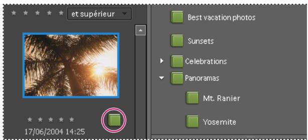 ADOBE PHOTOSHOP ELEMENTS 7.0 - Ajout d'une photo à un album - 2