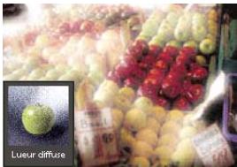 ADOBE PHOTOSHOP ELEMENTS 7.0 - Filtres - 2