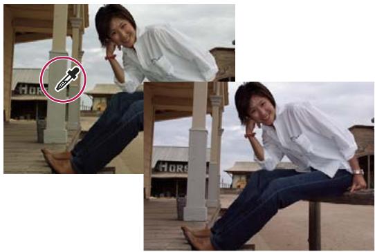 ADOBE PHOTOSHOP ELEMENTS 8 MAC - Commandes de la balance des blancs pour les fichiers Camera Raw - 2