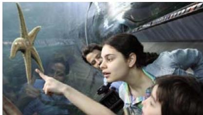 ADOBE PHOTOSHOP ELEMENTS 8 MAC - Duplication des images ou des zones d'une image - 1