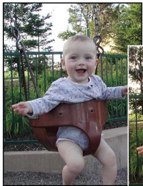 ADOBE PHOTOSHOP ELEMENTS 8 MAC - Application du filtrre Filtre photo - 1