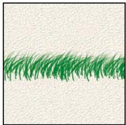 ADOBE PHOTOSHOP ELEMENTS 8 MAC - A propos des options de forme - 8