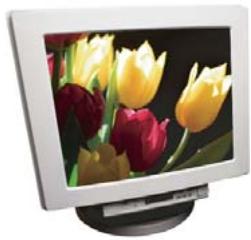 ADOBE PHOTOSHOP ELEMENTS 8 MAC - A propos des modes de couleur des images - 4