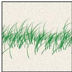 ADOBE PHOTOSHOP ELEMENTS 8 MAC - A propos des options de forme - 9