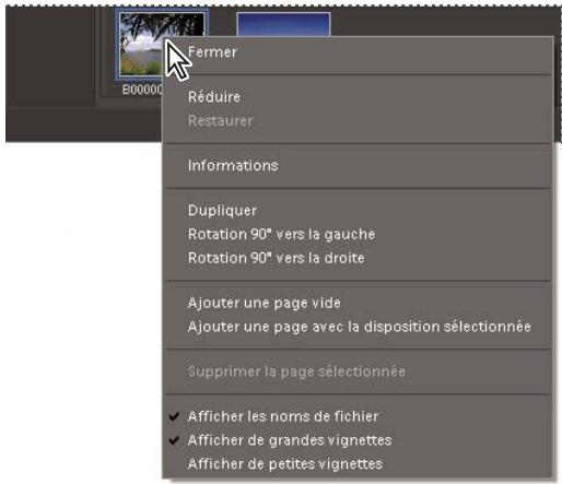 ADOBE PHOTOSHOP ELEMENTS 8 MAC - Utilisation des menus contextuels - 1