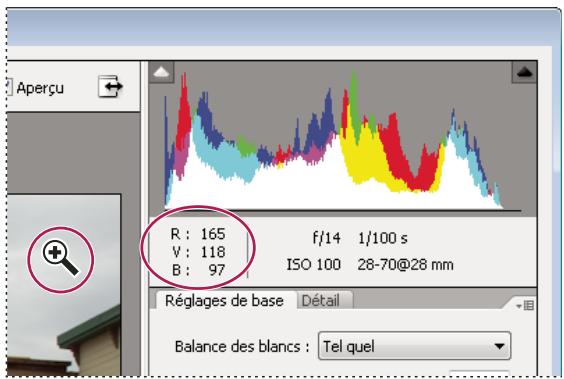 ADOBE PHOTOSHOP ELEMENTS 8 MAC - Utilisation de l'histogramme et des valeurs RVB dans les fichiers Camera Raw - 1