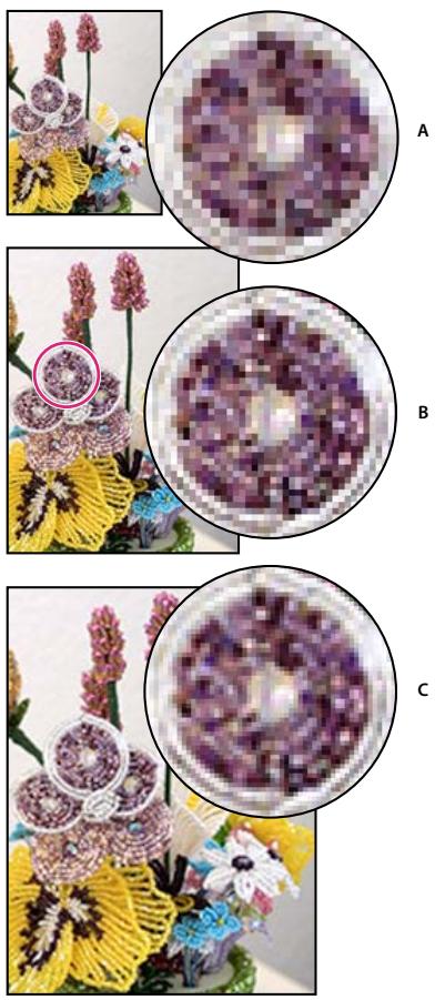 ADOBE PHOTOSHOP ELEMENTS 8 MAC - Rééchantillonnage d'une image - 1