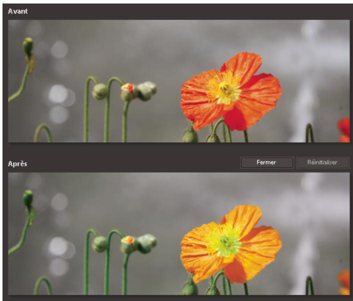 ADOBE PHOTOSHOP ELEMENTS 8 MAC - Aperçu en mode Retouche rapide - 1