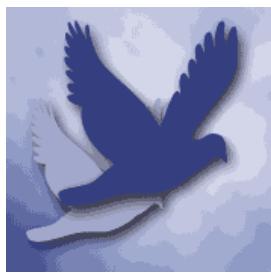 ADOBE PHOTOSHOP ELEMENTS 8 MAC - A propos du format PNG-8 - 2