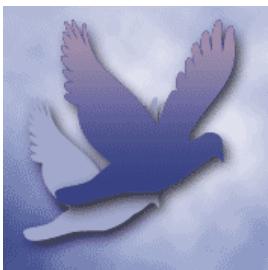 ADOBE PHOTOSHOP ELEMENTS 8 MAC - A propos du tramage - 2