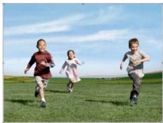 ADOBE PHOTOSHOP ELEMENTS 8 MAC - Recomposition - 3