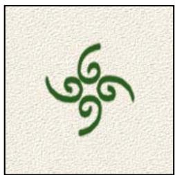 ADOBE PHOTOSHOP ELEMENTS 8 MAC - A propos des options de forme - 12