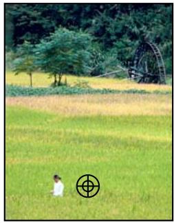 ADOBE PHOTOSHOP ELEMENTS 8 MAC - Correction des imperfections importantes - 1