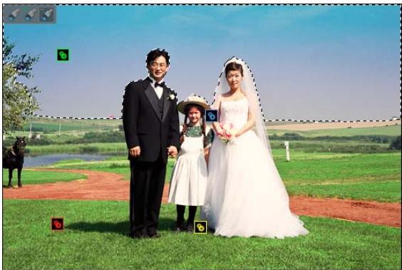 ADOBE PHOTOSHOP ELEMENTS 8 MAC - Réglage de la couleur et de la tonalité à l'aide des formes dynamiques - 6