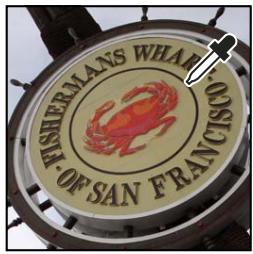 ADOBE PHOTOSHOP ELEMENTS 8 MAC - Choix d'une couleur à l'aide de l'outil Pipette - 1