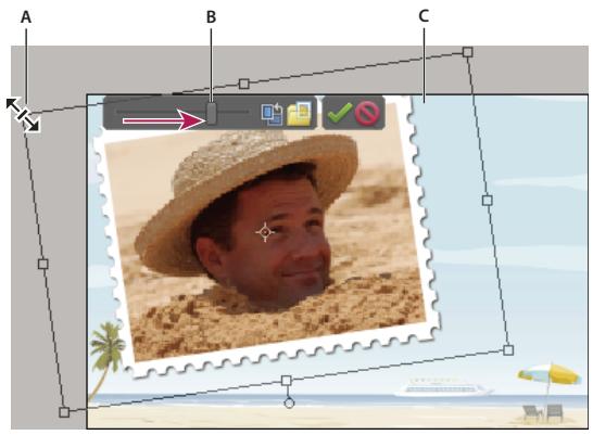 ADOBE PHOTOSHOP ELEMENTS 8 MAC - Repositionnement ou redimensionnement de photos dans un projet photo - 1