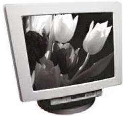 ADOBE PHOTOSHOP ELEMENTS 8 MAC - A propos des modes de couleur des images - 2