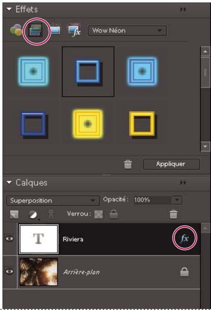 ADOBE PHOTOSHOP ELEMENTS 8 MAC - Application d'un style de calque - 1