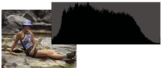 ADOBE PHOTOSHOP ELEMENTS 8 MAC - A propos des historiammes - 3