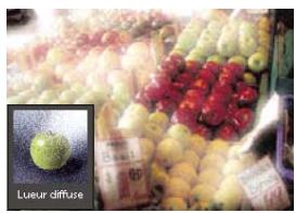 ADOBE PHOTOSHOP ELEMENTS 8 MAC - A propos des filtres - 2