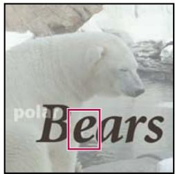 ADOBE PHOTOSHOP ELEMENTS 8 MAC - Options de l'outil Texte - 3